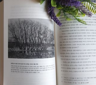 로샤님이 올린 리뷰 사진 3