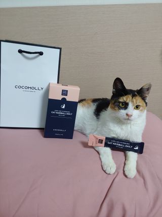 코코몰리 고양이 구강• 헤어볼 데일리 /신장• 요로 데일리 — 5점을 준 리뷰어가 2020년 12월 올린 사용 사진