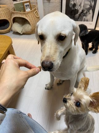 정봐기린님이 올린 리뷰 사진 2