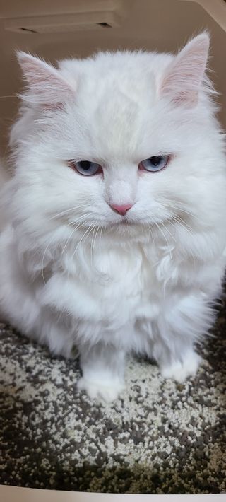 논지님이 올린 리뷰 사진 4