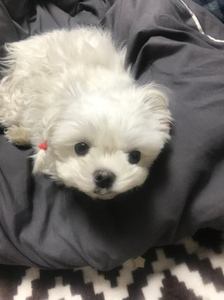 이아님이 올린 리뷰 사진 1