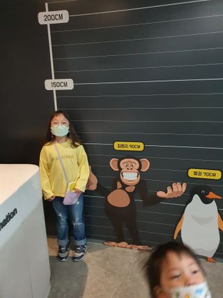 [이지아 마스크] 애니가드 더솔루션마스크, 컬러 5종 [소형] — 5점을 준 리뷰어가 2021년 4월 올린 사용 사진