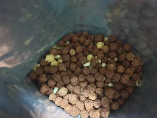 펀다님이 올린 리뷰 사진 4