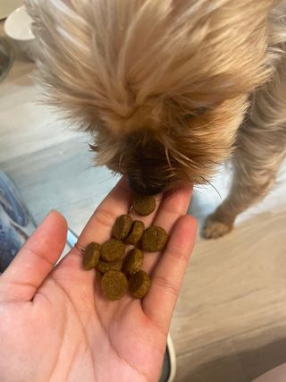 영이님이 올린 리뷰 사진 3