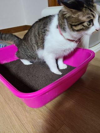 글라라5205님이 올린 리뷰 사진 3