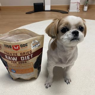 [보장균수500만] 건강한장 프로젝트 강아지사료 보스독 프로바이오틱스 340.19g 2종 — 5점을 준 리뷰어가 2021년 2월 올린 사용 사진