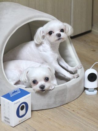 희온느님이 올린 리뷰 사진 1