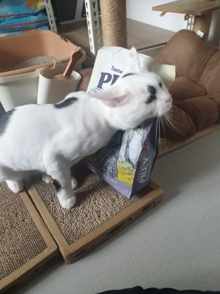 bini님이 올린 리뷰 사진 1