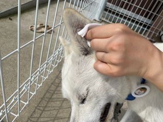 Jenny님이 올린 리뷰 사진 4