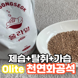 쏭똑띠님이 올린 리뷰 사진 1