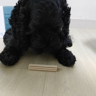 페페로니 클린플러스 덴탈치킨껌 10g x 14p — 5점을 준 리뷰어가 2021년 7월 올린 사용 사진