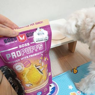 [보장균수5억] 건강한장 프로젝트 강아지간식 보스독 프로펍스트릿 170g 3종 — 4점을 준 리뷰어가 2020년 12월 올린 사용 사진