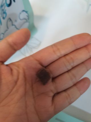 My Pet Care 천연단백질 눈건강에 개좋아 — 5점을 준 리뷰어가 2021년 1월 올린 사용 사진