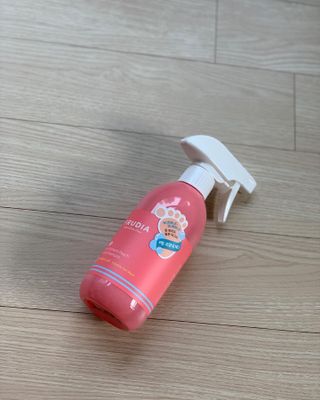 비베숑님이 올린 리뷰 사진 2