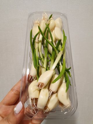 하요닝님이 올린 리뷰 사진 3