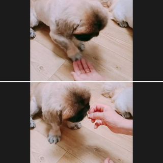 러블리혜교님이 올린 리뷰 사진 4
