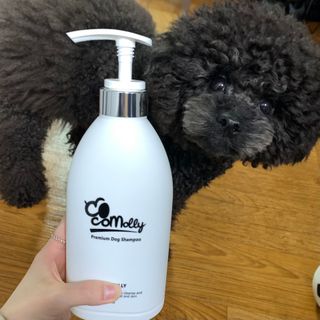 예민한 피부를 위한 코코몰리 All in one 자연유래 샴푸 — 5점을 준 리뷰어가 2021년 3월 올린 사용 사진