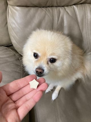 yoniyoni님이 올린 리뷰 사진 1