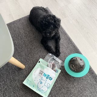 My Pet Care 천연단백질 눈건강에 개좋아 — 5점을 준 리뷰어가 2021년 3월 올린 사용 사진