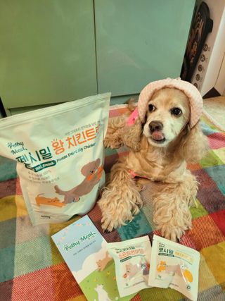 [펫시밀] 원물그대로 영양듬뿍 동결건조 왕북어트릿300g,왕치킨트릿400g,열빙어트릿300g 대용량 간식 — 5점을 준 리뷰어가 2023년 5월 올린 사용 사진