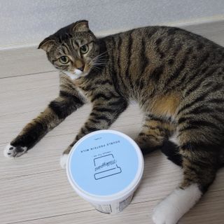 이째님이 올린 리뷰 사진 1