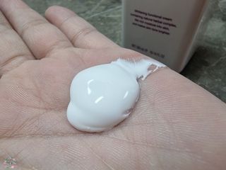 박꽃님이 올린 리뷰 사진 2