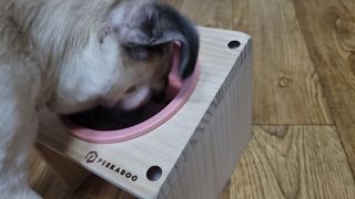 상상씨님이 올린 리뷰 사진 3