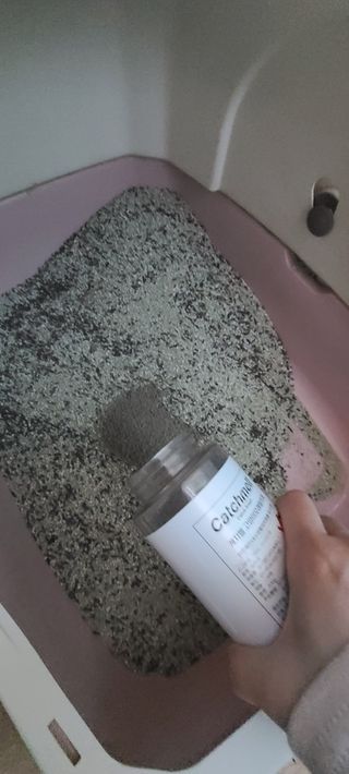 논지님이 올린 리뷰 사진 4