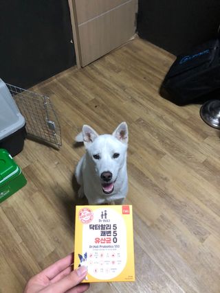 janggunni님이 올린 리뷰 사진 1