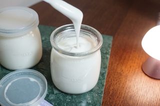 하나마이 [BEST 판매율 1위] 카스피해 유산균 종균_발효기가 필요없이 간편하게 만들어 먹는 요거트 생유산균 — 5점을 준 리뷰어가 2023년 3월 올린 사용 사진