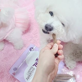 삼숑이맘님이 올린 리뷰 사진 2