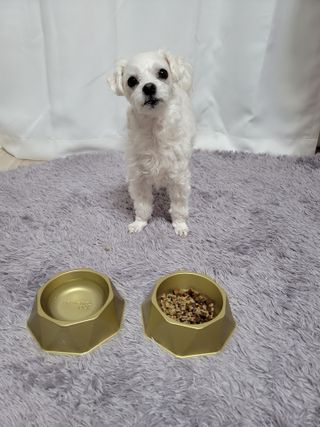 시우하늘맘님이 올린 리뷰 사진 3