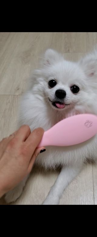 ssosso_yab님이 올린 리뷰 사진 3