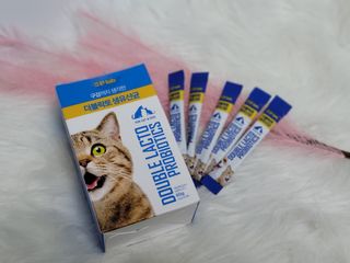 씨디랩 장 건강과 구강 건강을 한 번에 더블락토 강아지 고양이 유산균 — 5점을 준 리뷰어가 2021년 1월 올린 사용 사진