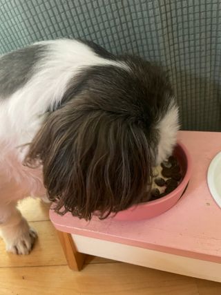 시우맘강콩님이 올린 리뷰 사진 3