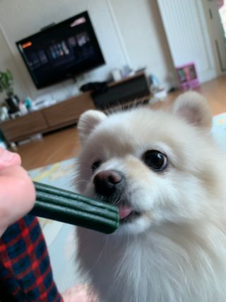 별이빛나길님이 올린 리뷰 사진 3