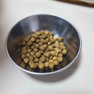 캐닌캐비어 알카라인 홀리스틱 그레이프리 앙뜨레 ALS_4종 오픈스카이, 와일드오션, 프리스피릿, 스페셜니즈 — 5점을 준 리뷰어가 2023년 2월 올린 사용 사진
