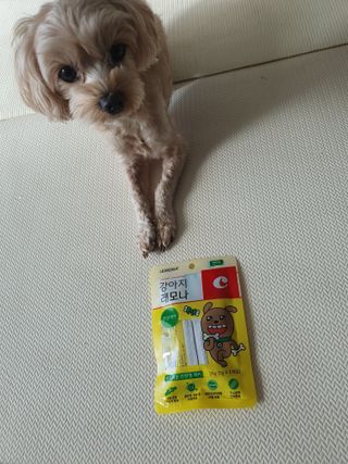 아코맘님이 올린 리뷰 사진 1