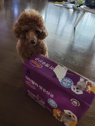 ONmom님이 올린 리뷰 사진 4