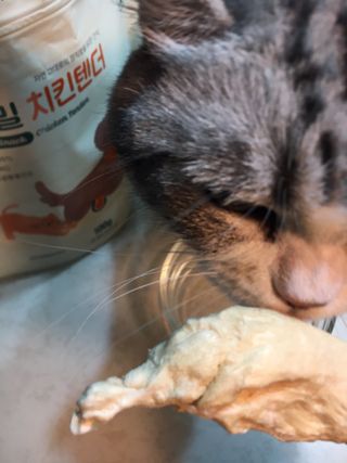 [펫시밀] 원물그대로 영양듬뿍 진공동결건조 치킨텐더100g, 열빙어트릿100g 강아지 고양이 간식 — 5점을 준 리뷰어가 2023년 5월 올린 사용 사진