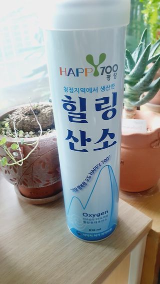 릴리님이 올린 리뷰 사진 2