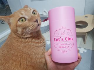 페페로니 잘 먹는 캣츄 - 알래스카 연어 24개입 — 5점을 준 리뷰어가 2021년 7월 올린 사용 사진