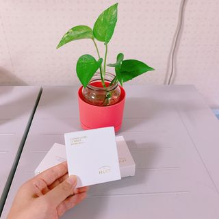 위뜨 글로시 레이어 쿠션 — 4.5점을 준 리뷰어가 2022년 7월 올린 사용 사진