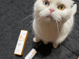 화이집사님이 올린 리뷰 사진 1