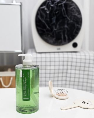 닥터시드 티트리 앤 라임 비건 지성케어 쿨 탈모 샴푸 (1000ml) — 5점을 준 리뷰어가 2024년 4월 올린 사용 사진