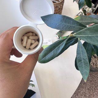 피글렛님이 올린 리뷰 사진 3