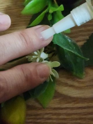 1+2 뷰젤 매직케어 손톱영양제+스톤푸셔+코인타올 셀프 네일케어 — 4.5점을 준 리뷰어가 2022년 10월 올린 사용 사진