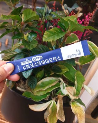 렐라님이 올린 리뷰 사진 2