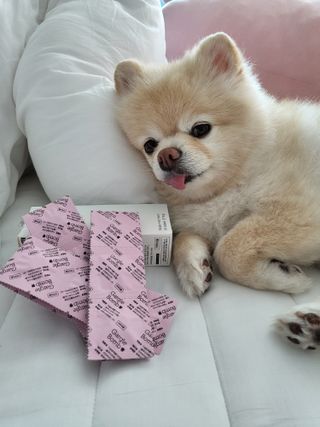 bangwoori님이 올린 리뷰 사진 2