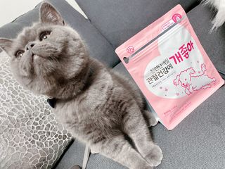 My Pet Care 천연단백질 관절건강에 개좋아 — 4.5점을 준 리뷰어가 2021년 3월 올린 사용 사진